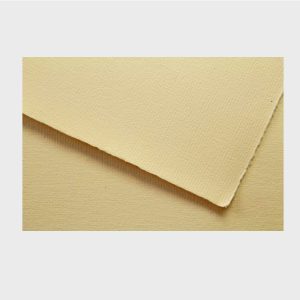 HOJAS PRECISION LINO NACARADO 220 GRS.  CARTA *100 HOJAS