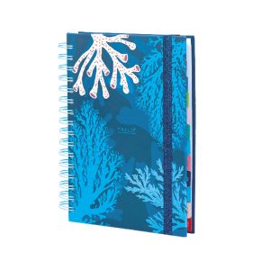 AGENDA TRENDY ENVIRONMENT 2026